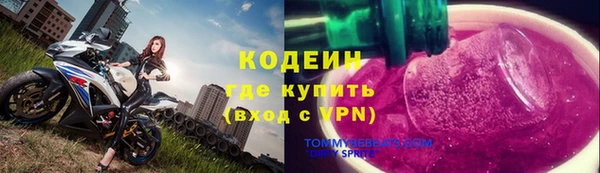 ГАЛЛЮЦИНОГЕННЫЕ ГРИБЫ Козловка