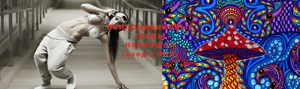 ПСИЛОЦИБИНОВЫЕ ГРИБЫ Кинешма