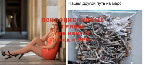 ПСИЛОЦИБИНОВЫЕ ГРИБЫ Кинешма